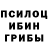 Галлюциногенные грибы мухоморы Saints Fun