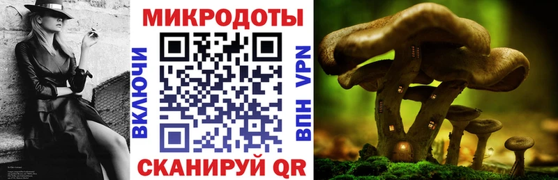Псилоцибиновые грибы Magic Shrooms нарко площадка состав Каменск-Уральский