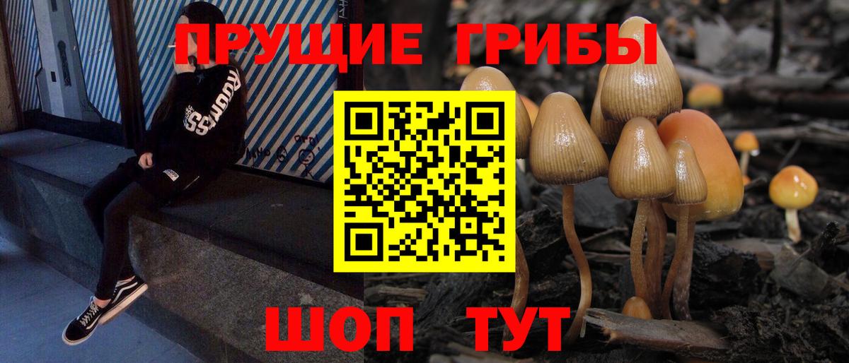Галлюциногенные грибы GOLDEN TEACHER  закладки  Каменск-Уральский  Вход с VPN  Псилоцибиновые грибы ЛСД 