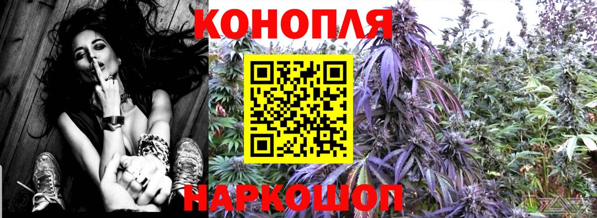 Каменск-Уральский  Конопля план  Канабис сатива  Марихуана OG Kush  Вход с VPN 